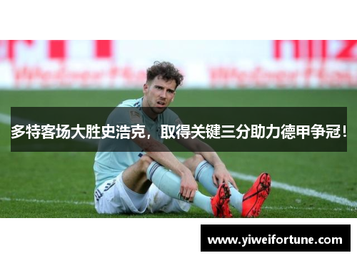 多特客场大胜史浩克，取得关键三分助力德甲争冠！