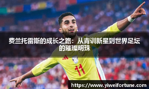 费兰托雷斯的成长之路：从青训新星到世界足坛的璀璨明珠
