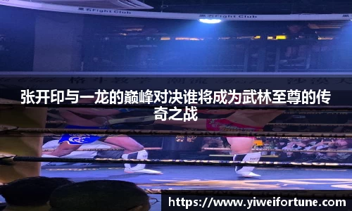 张开印与一龙的巅峰对决谁将成为武林至尊的传奇之战