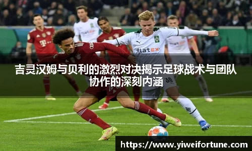 智博19