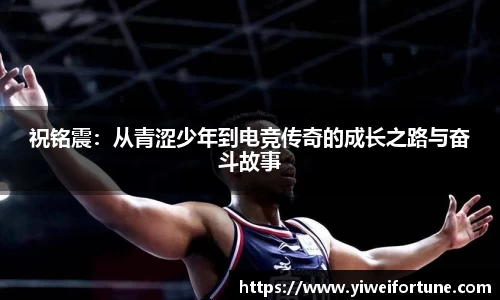 智博19
