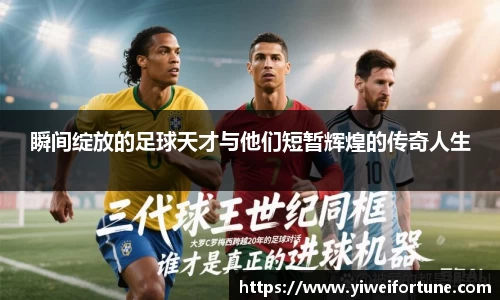 智博19有限公司