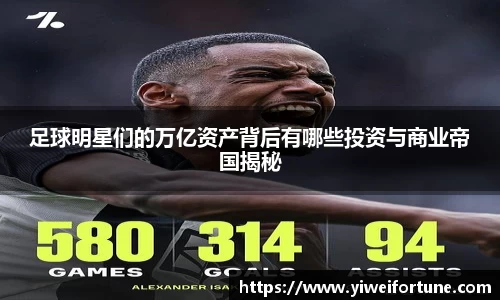 智博19有限公司