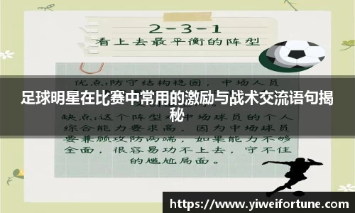 智博19有限公司