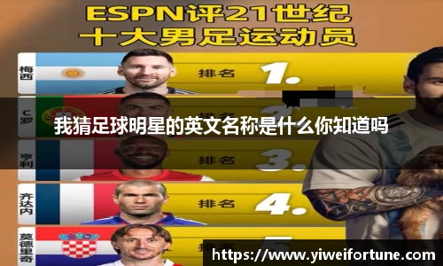 智博19有限公司